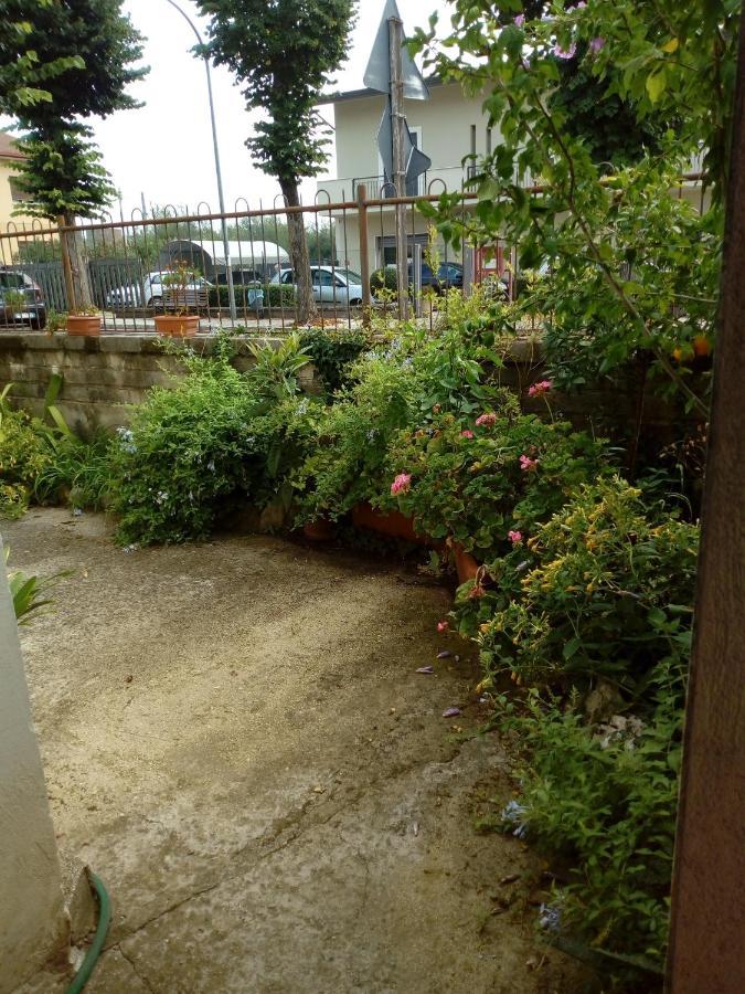 Il Cactus Bed & Breakfast San Giovanni Incarico Ngoại thất bức ảnh