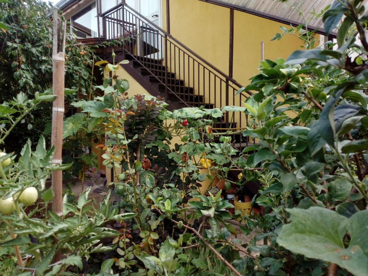 Il Cactus Bed & Breakfast San Giovanni Incarico Ngoại thất bức ảnh